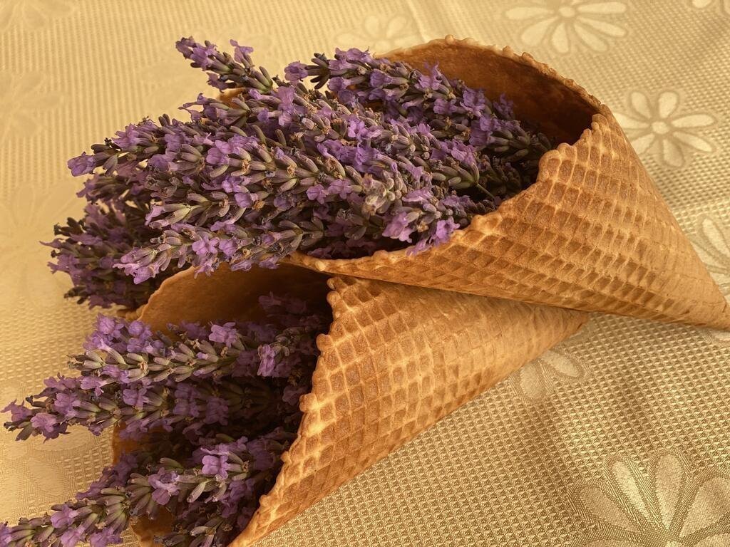 Imaginea Plamena Palace 4*