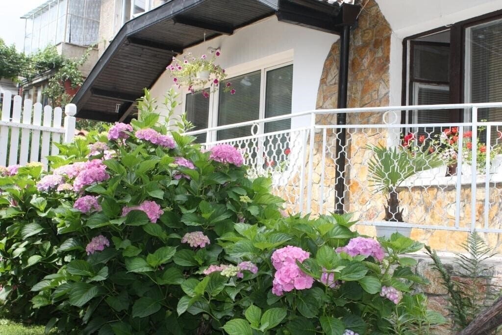 Отель Andro Apartments 2*