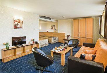 Отель Park Hotel Moskva 3*