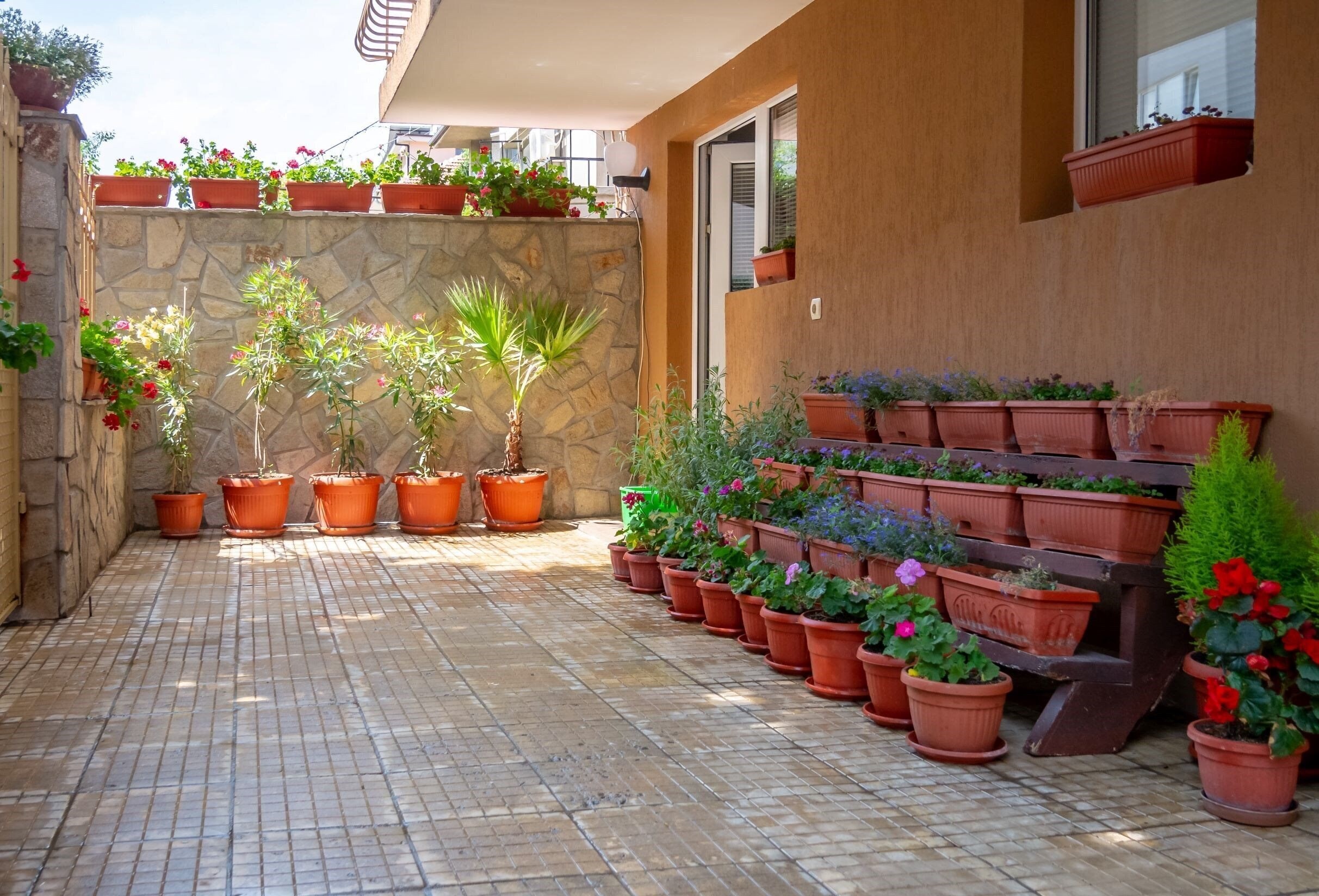 Fotografie Elena Villa 3*