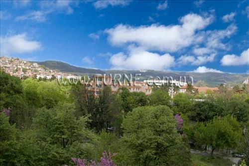 Отель Tarnovo Hotel 3*