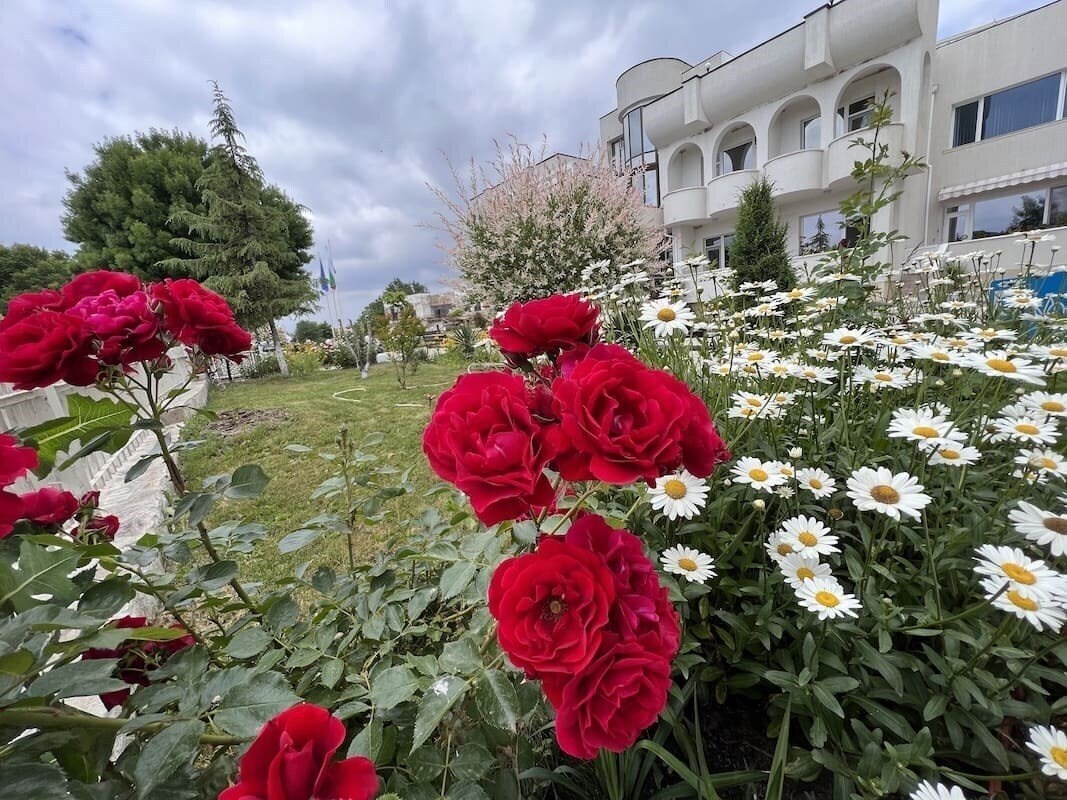 Fotografii Jordash 2*