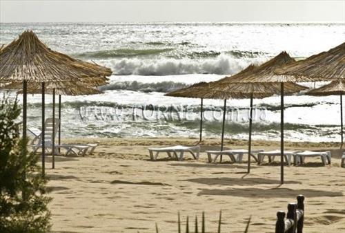Imaginea Kabakum Beach апартаменты