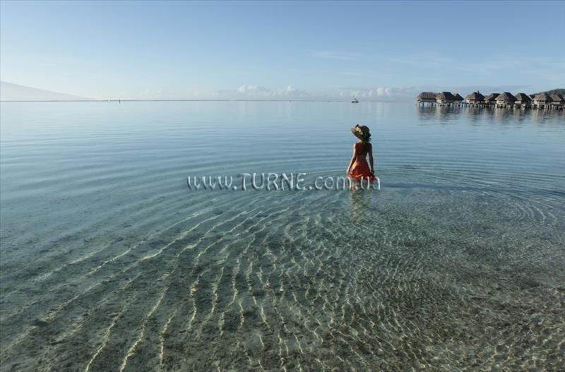 Изображение Sofitel Moorea la Ora Beach Resort 4*