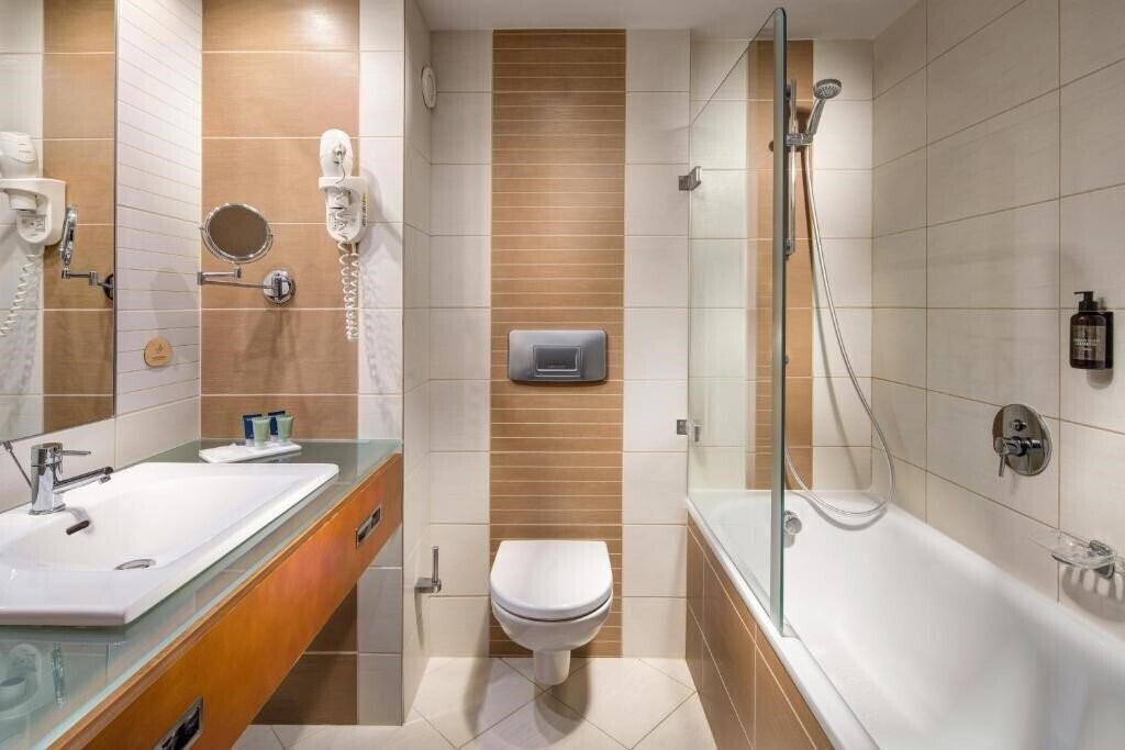 Fotografie Holiday Inn Brno 4*