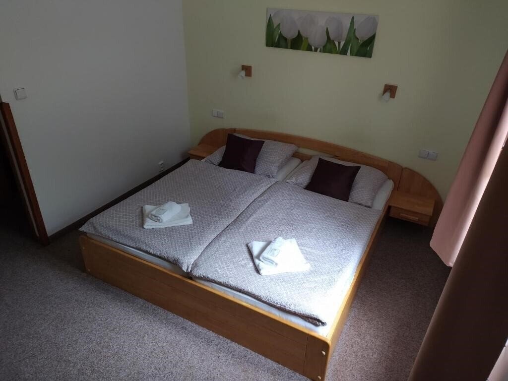 Imaginea Penzion 33 3*