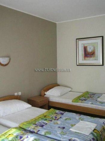 Отель Kangaroo 3*