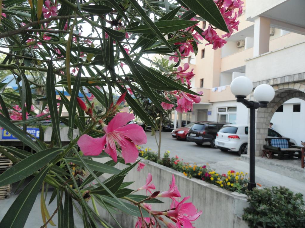 Hotel Rio Rooms 3*