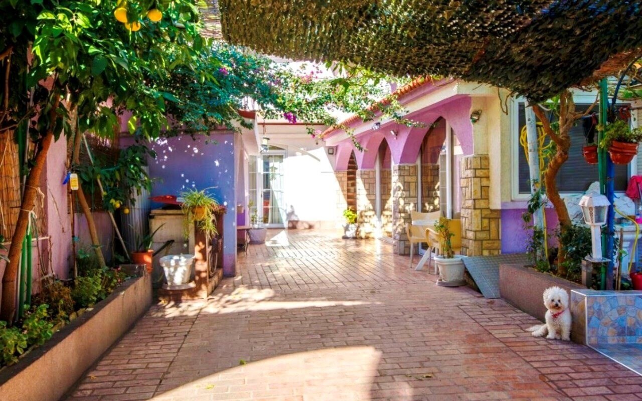 Fotografie Guest House Violet Aparthotel 2*