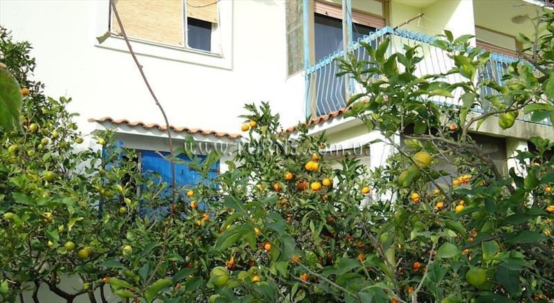 Fotografii Apartament Knezevic 4*