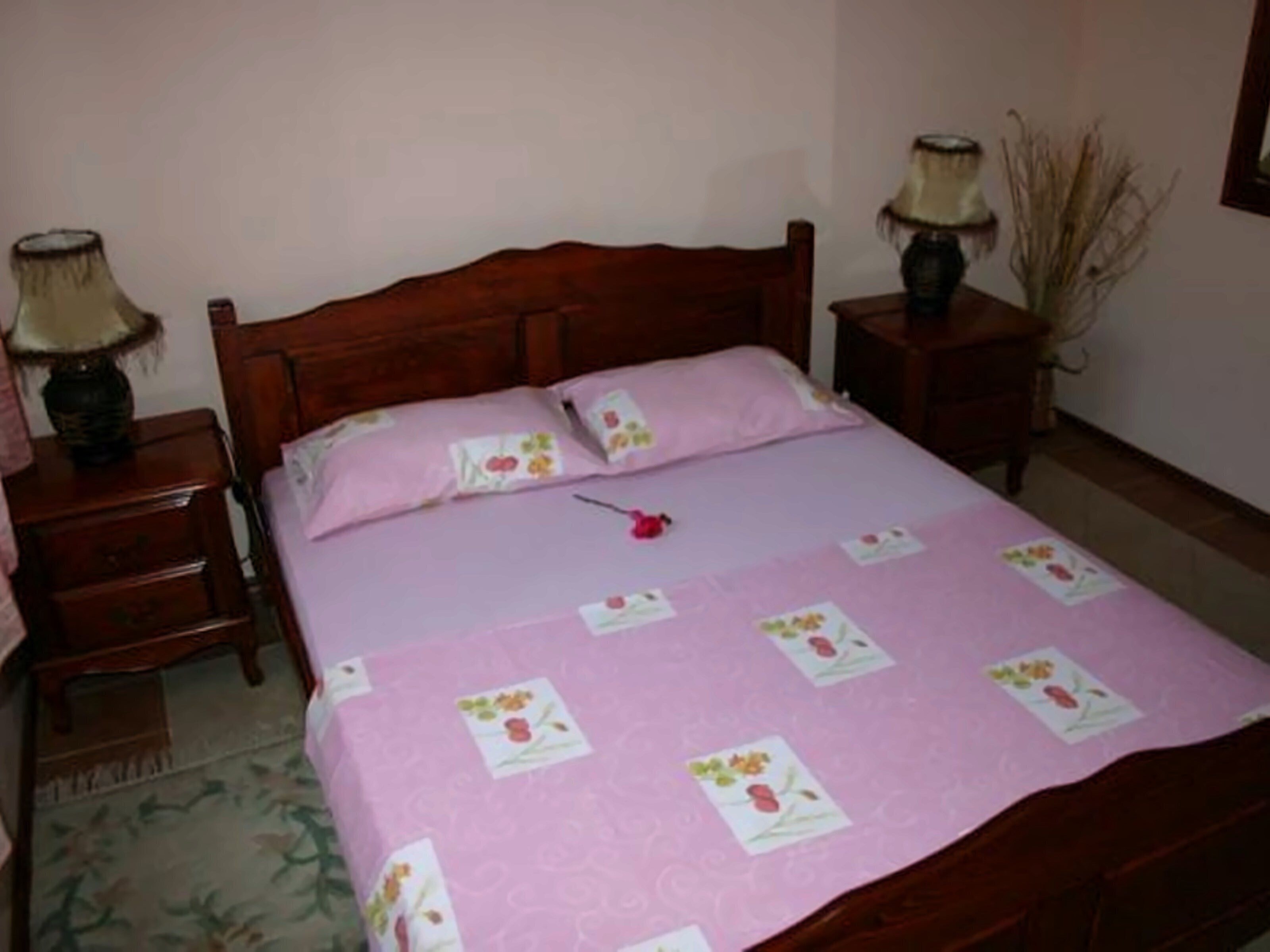 Fotografii Villa Popovic Lazo 3*
