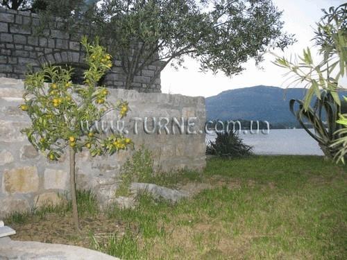 Fotografii House Djurasevici апартаменты