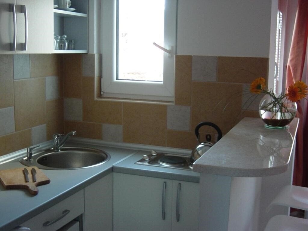 Fotografii Kamelija Apartments 4*