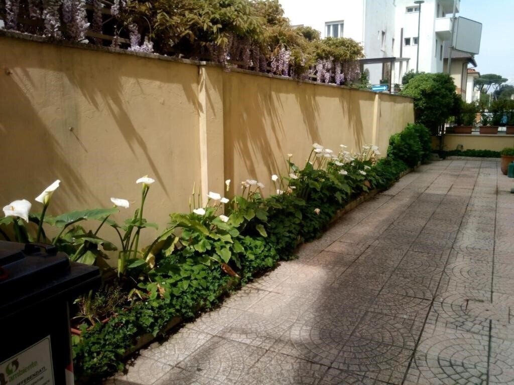 Imaginea Hotel Margot 3*