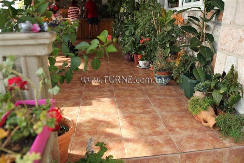 Фотография Apartments Grloman 4*