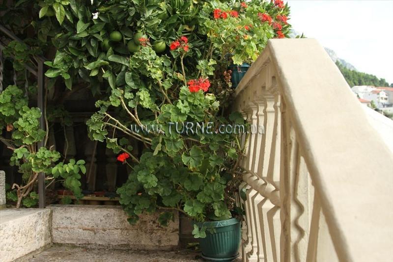 Фото Apartments Grloman 4*