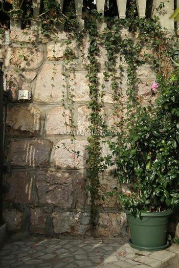 Отель Apartments Grloman 4*