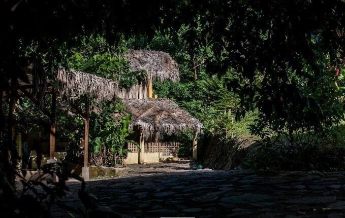 Fotografii Jurassic Park Hotel + 2*