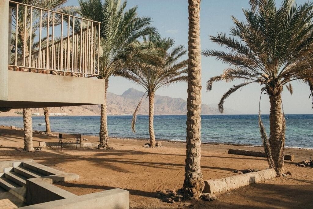 Изображение Dar Dahab 3*