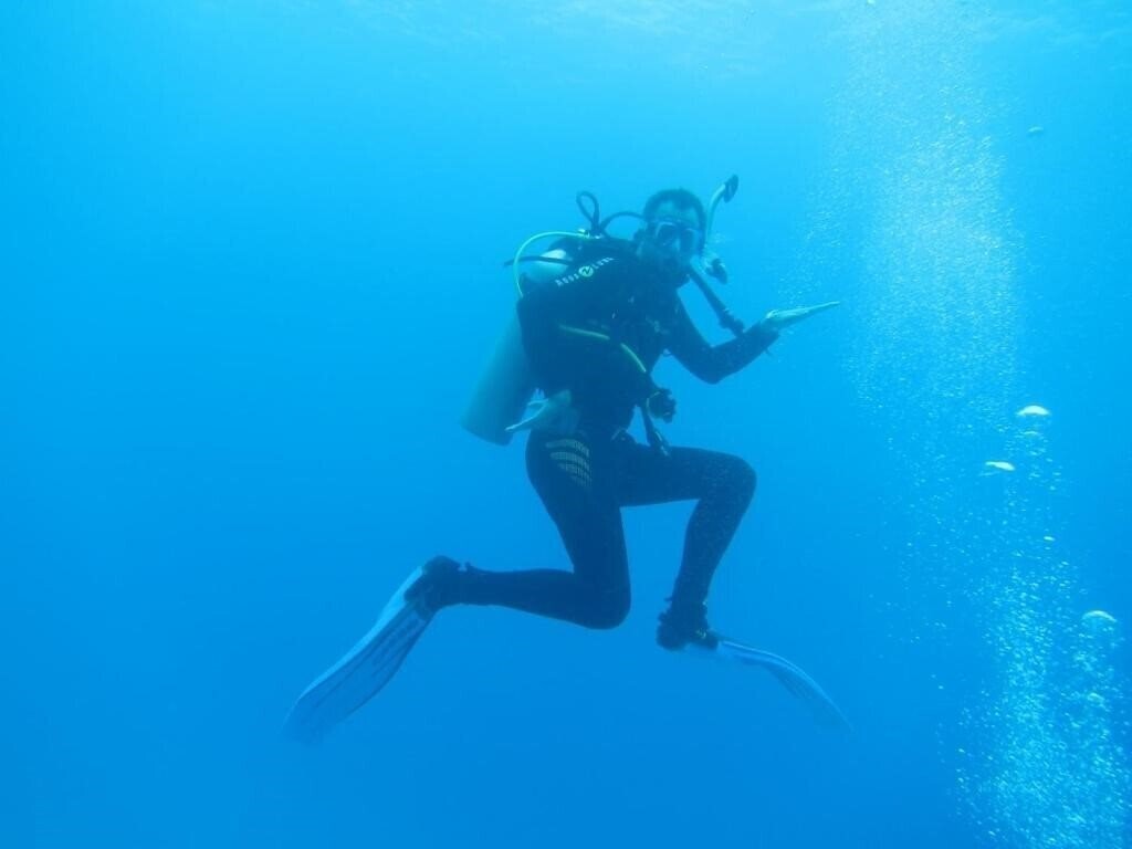 Imaginea Neptune 1*
