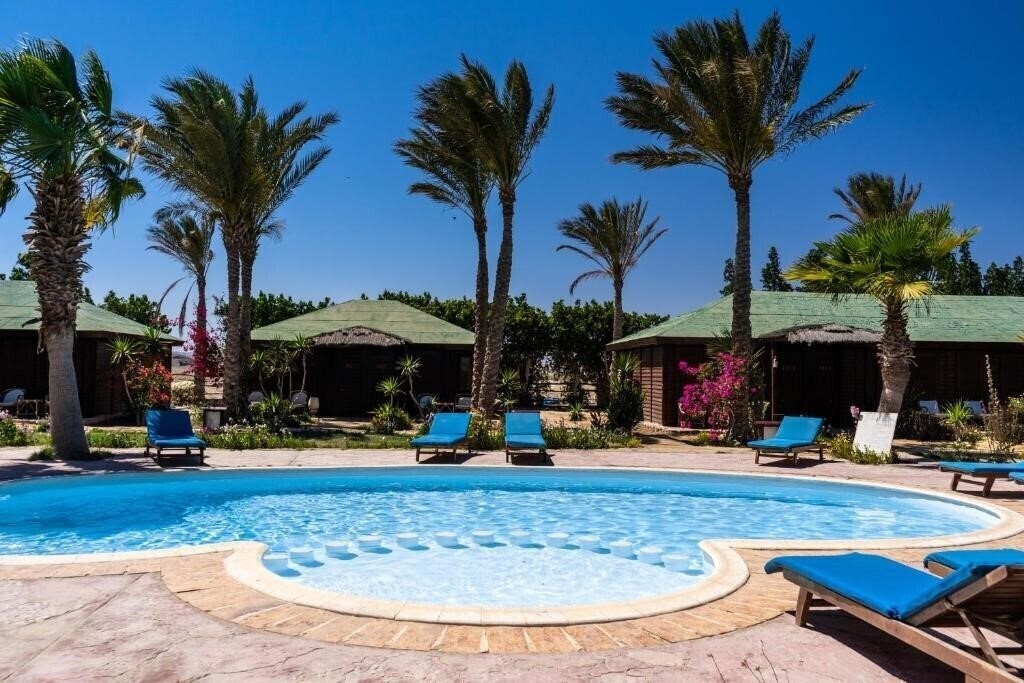 Фотография Abu Dabbab Diving Lodge 4*
