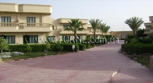 Fotografie Nefertiti Sun Flower 4*