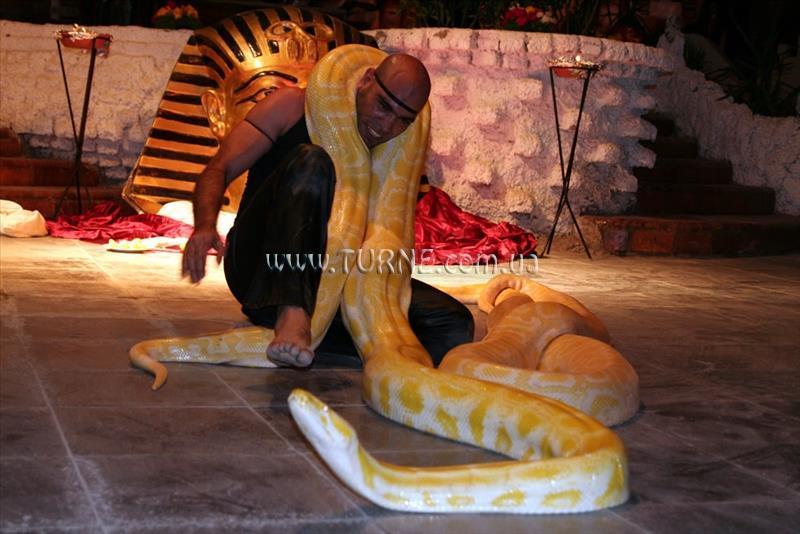 Fotografii Golden 5 City Al Mas Palace (ex. Al Mas Red Sea Palace, Golden 5 Al Mas Resort, Al Mas Palace Beach Resort) 5*