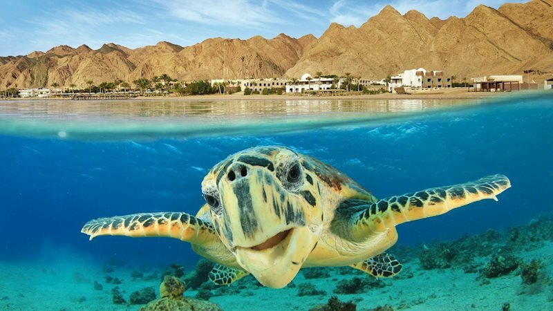 Fotografie Fortune Hurghada 4 4*