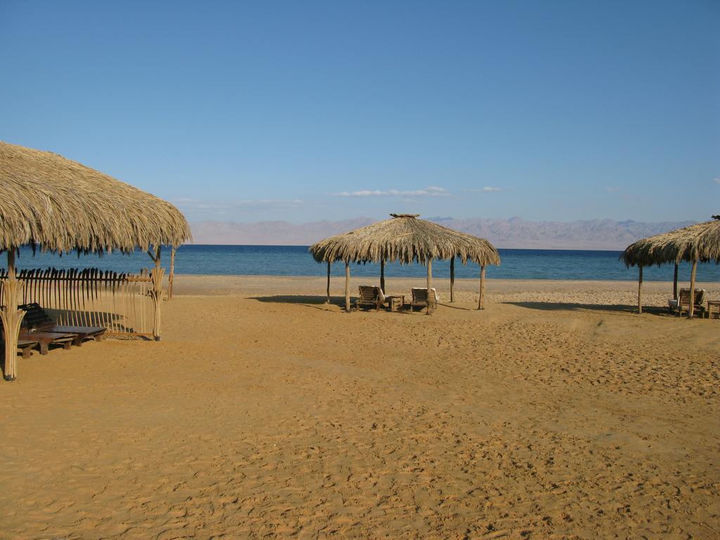 Imaginea Swisscare Nuweiba Resort 3*