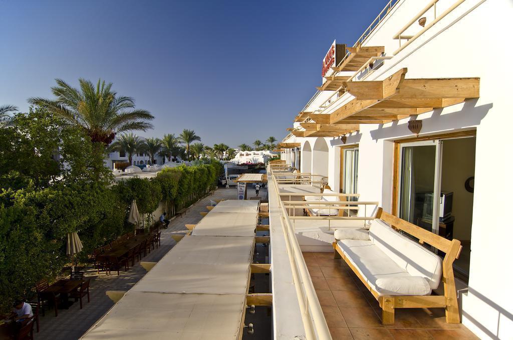 Fotografie Oonas Dive Club 3*