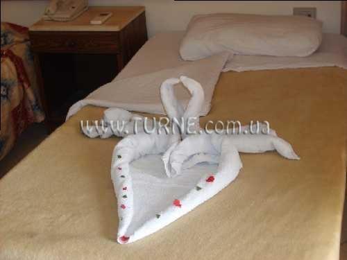 Hotel Dolphina Country Club 3*