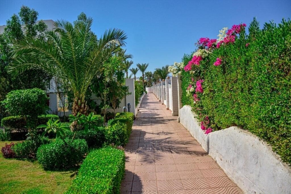 Fotografie Desert View Sharm 3*