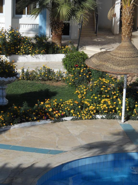 Imaginea Regency Royal Hills (ex. Regency Sharm Hotel) 3*