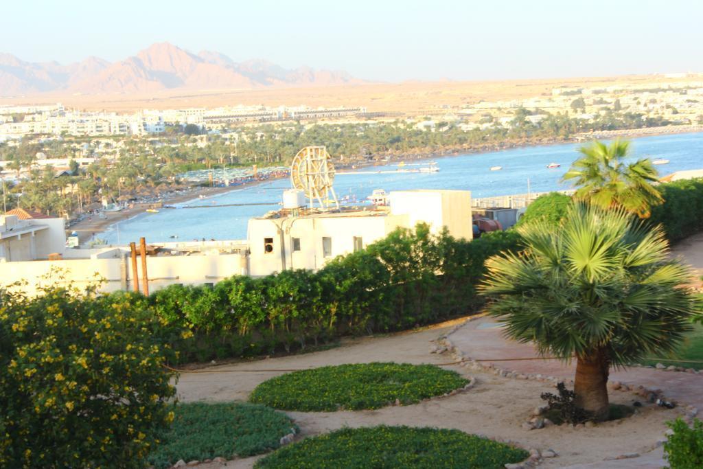 Fotografie Eden Rock Hotel Namaa Bay (ex. Eden Rock Hotel) 3*