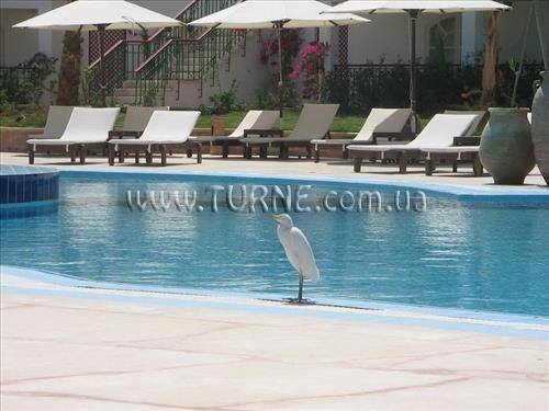 Imaginea Resta Club Resort 3*