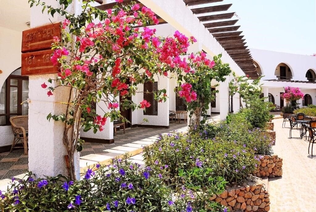 Imaginea Aida Better Life Resort 3*