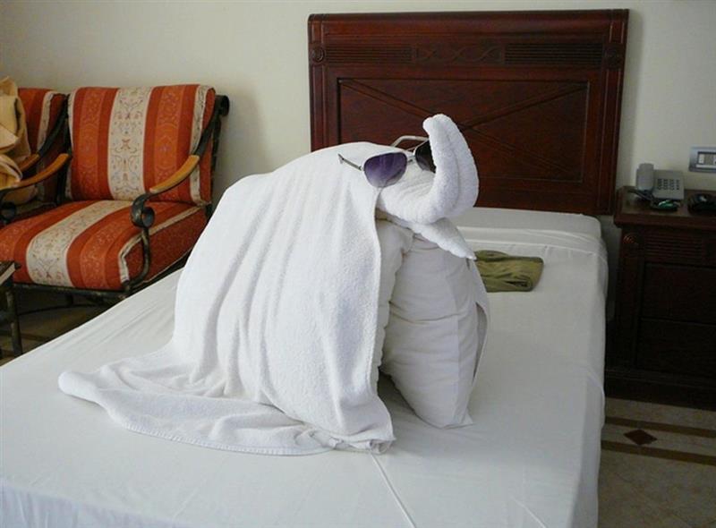 Imaginea Imperial Shams Abu Soma 5*