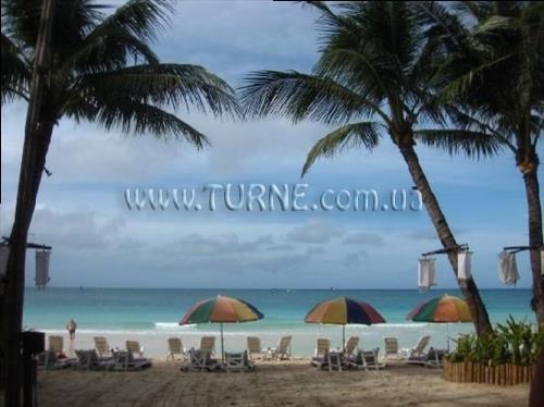 Imaginea Nigi Nigi Nu Noos 3*