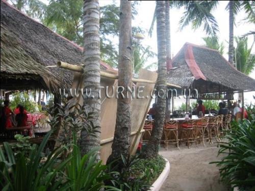 Fotografie Nigi Nigi Nu Noos 3*