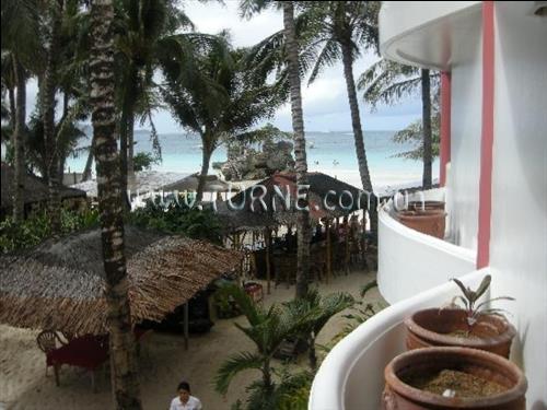 Fotografii Nigi Nigi Nu Noos 3*