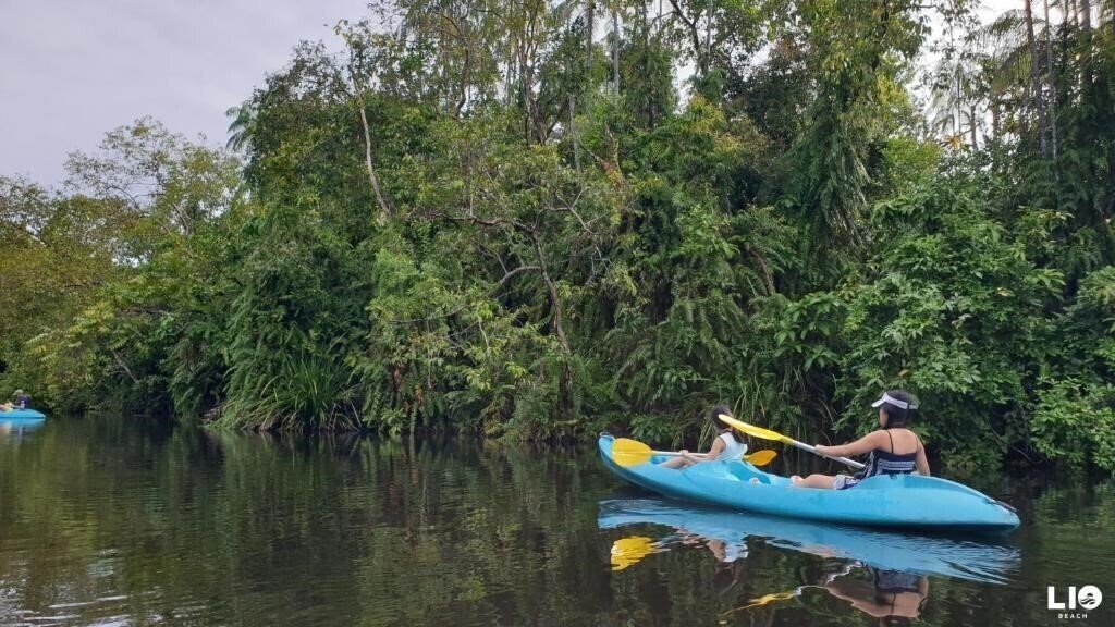 Imaginea Huni Lio 3*