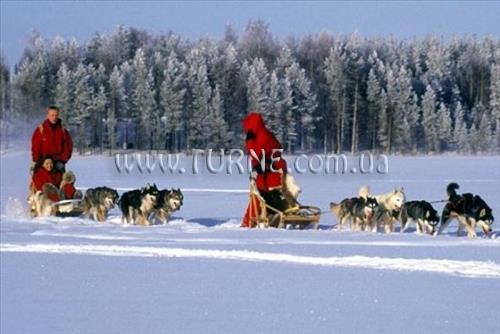 Fotografii Sopuli коттедж