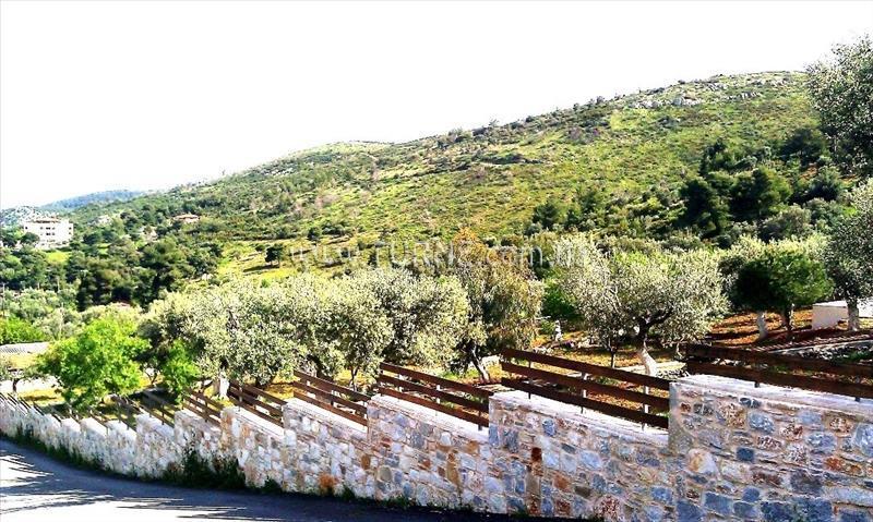 Fotografie Villa Xenia Konaki вилла