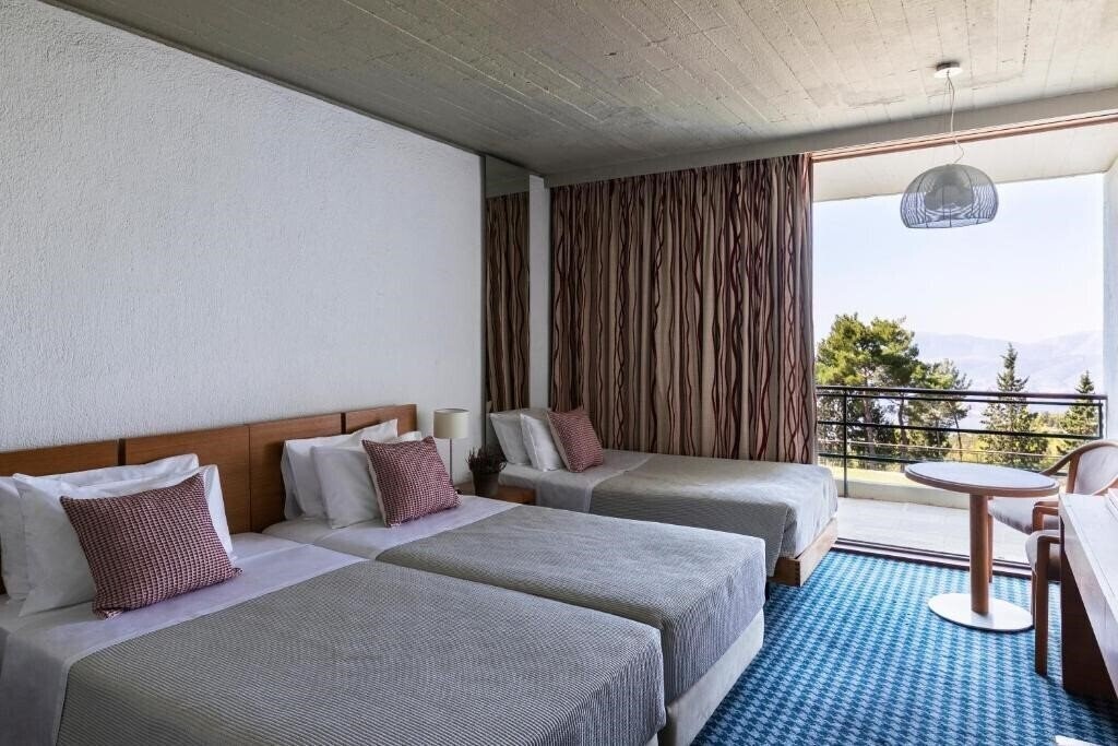 Fotografii Amalia Hotel Delphi 4*