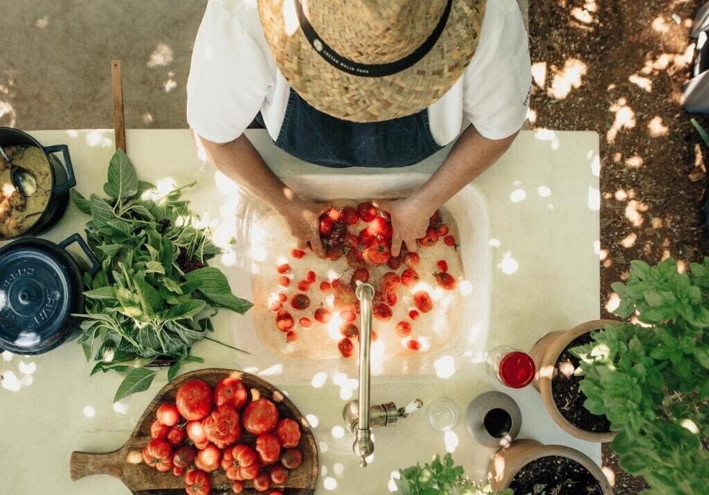 Fotografie Phaea Cretan Malia (ex. Cretan Malia Park) 5*