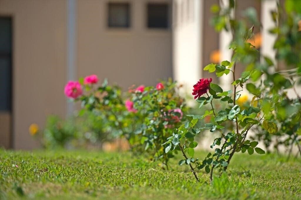 Imaginea Kymi Palace 4*