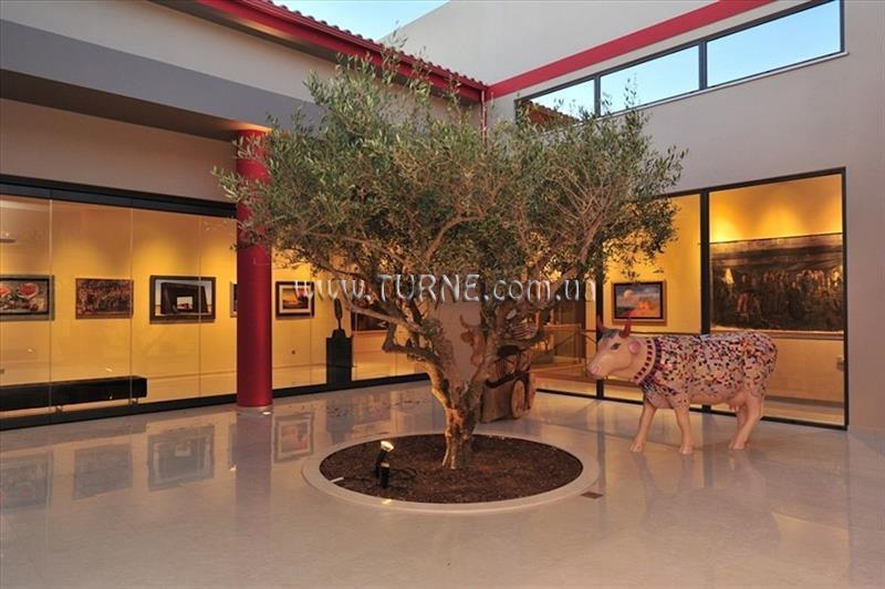 Imaginea Apollonion Resort & SPA 5*