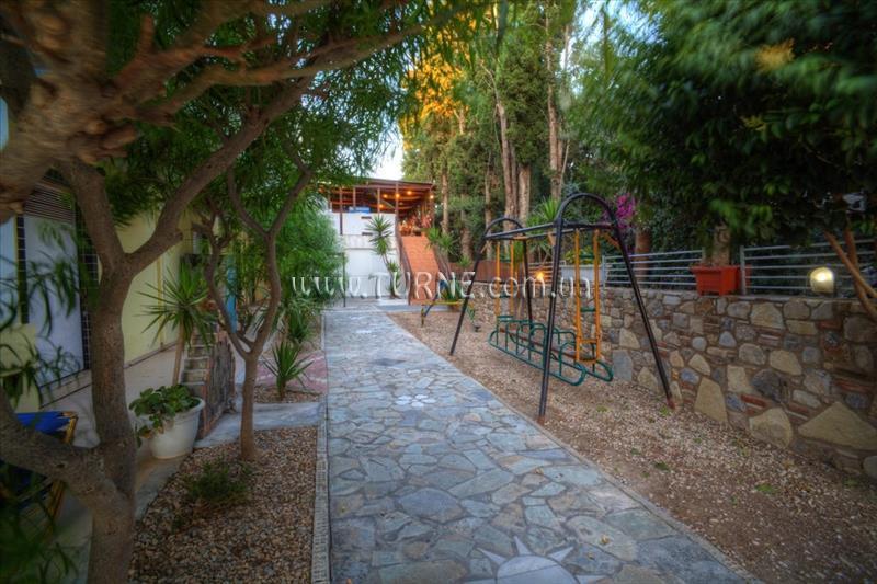 Картинка Sunny Days 3*