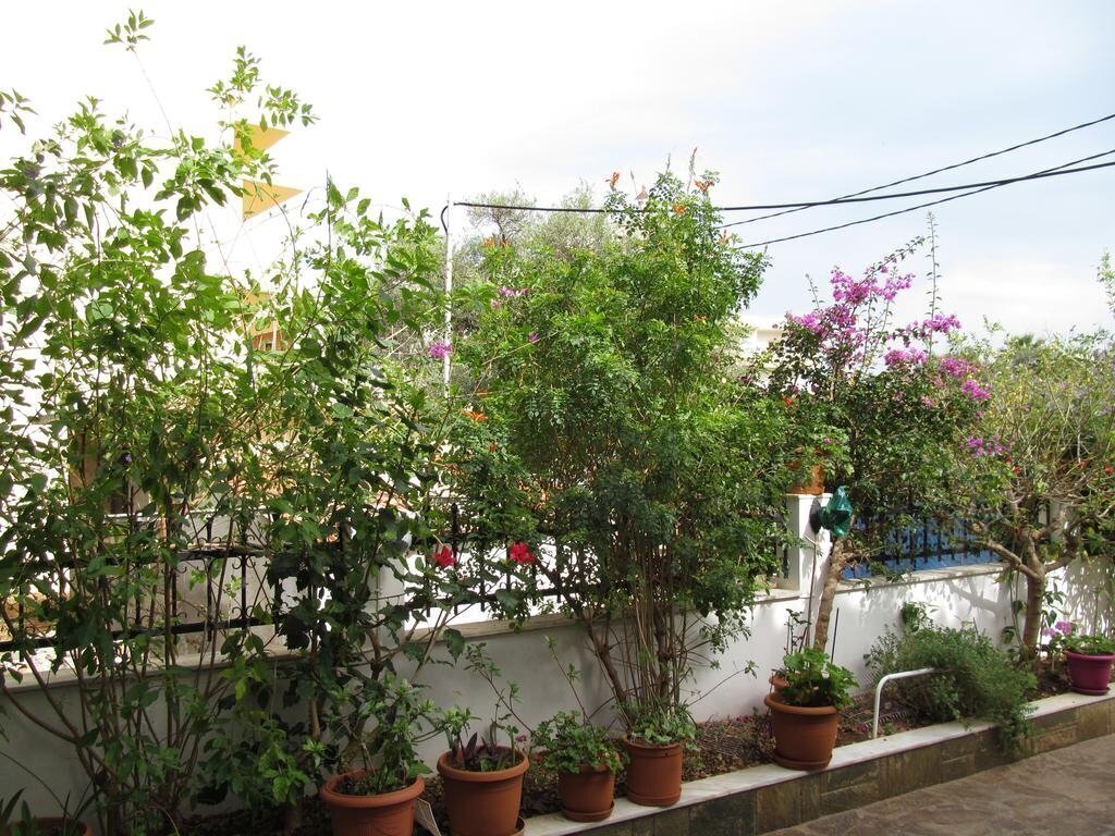 Fotografii Villa Contessa 2*