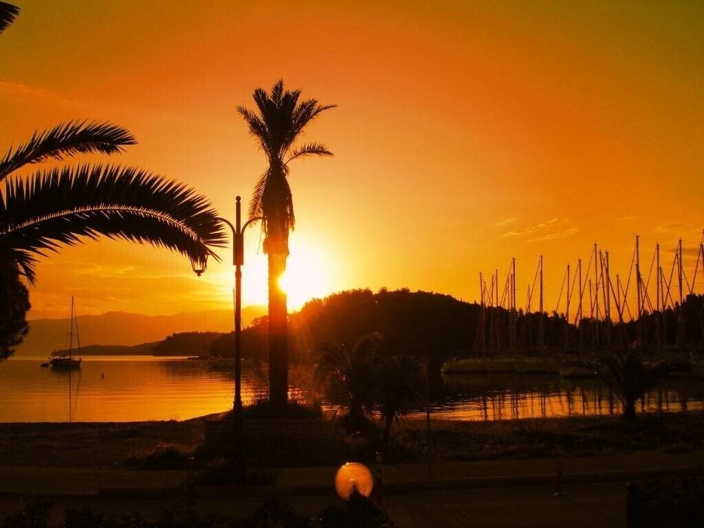 Imaginea Oscar (Nidri) 3*